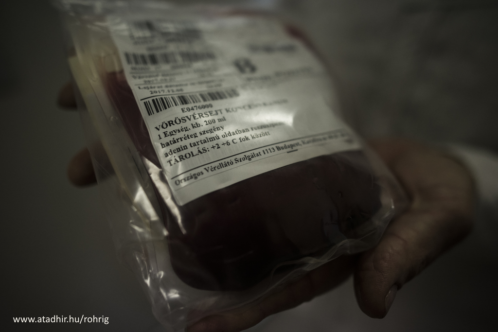 A hűtve tárolt vérkészítményeket főleg műtétek során használják fel (3 / 3. kép)