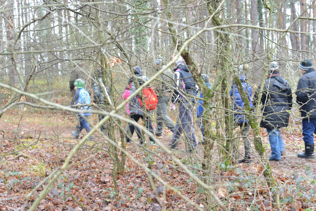 Még a téli hidegben is jól esik egy hosszú séta a természetben (37 / 19. kép)