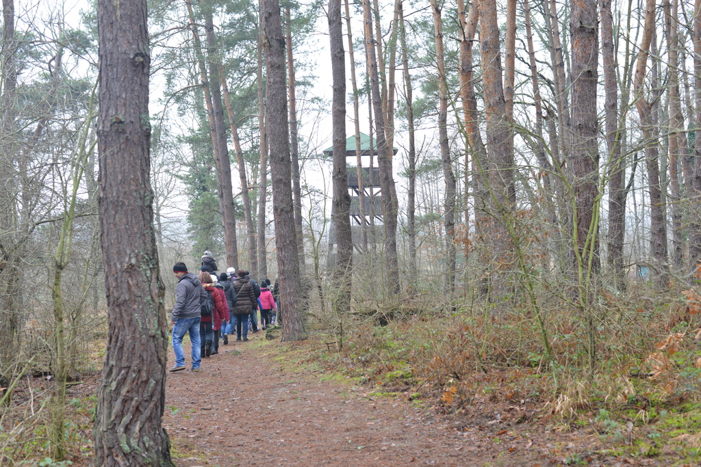 Még a téli hidegben is jól esik egy hosszú séta a természetben (37 / 20. kép)