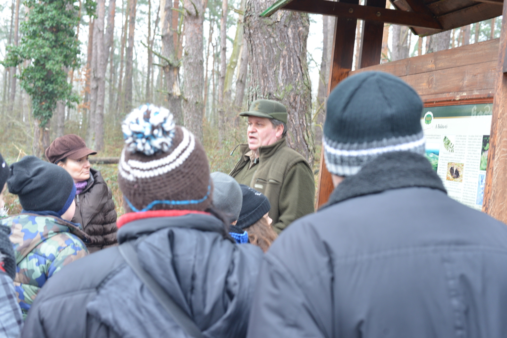 Még a téli hidegben is jól esik egy hosszú séta a természetben (37 / 21. kép)