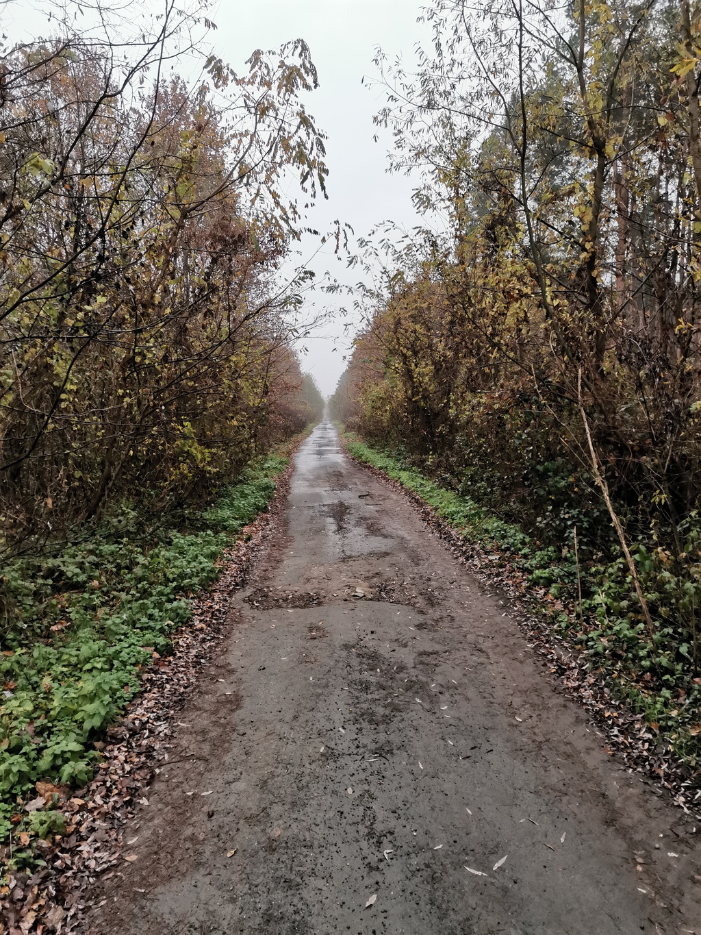 Fotók: Kaszó Zrt. (18 / 12. kép)