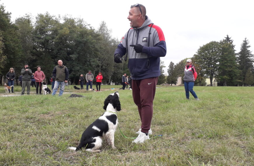 A kutyusok érdeklődve felsorakoztak