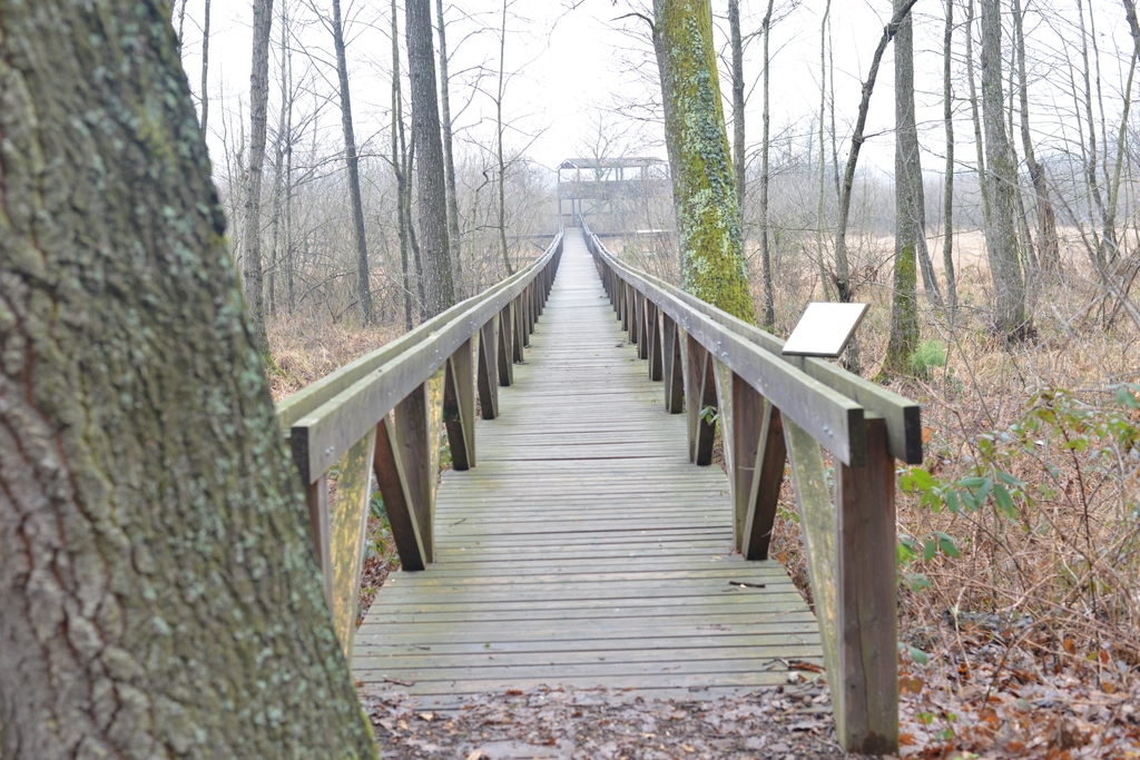 Még a téli hidegben is jól esik egy hosszú séta a természetben (37 / 22. kép)