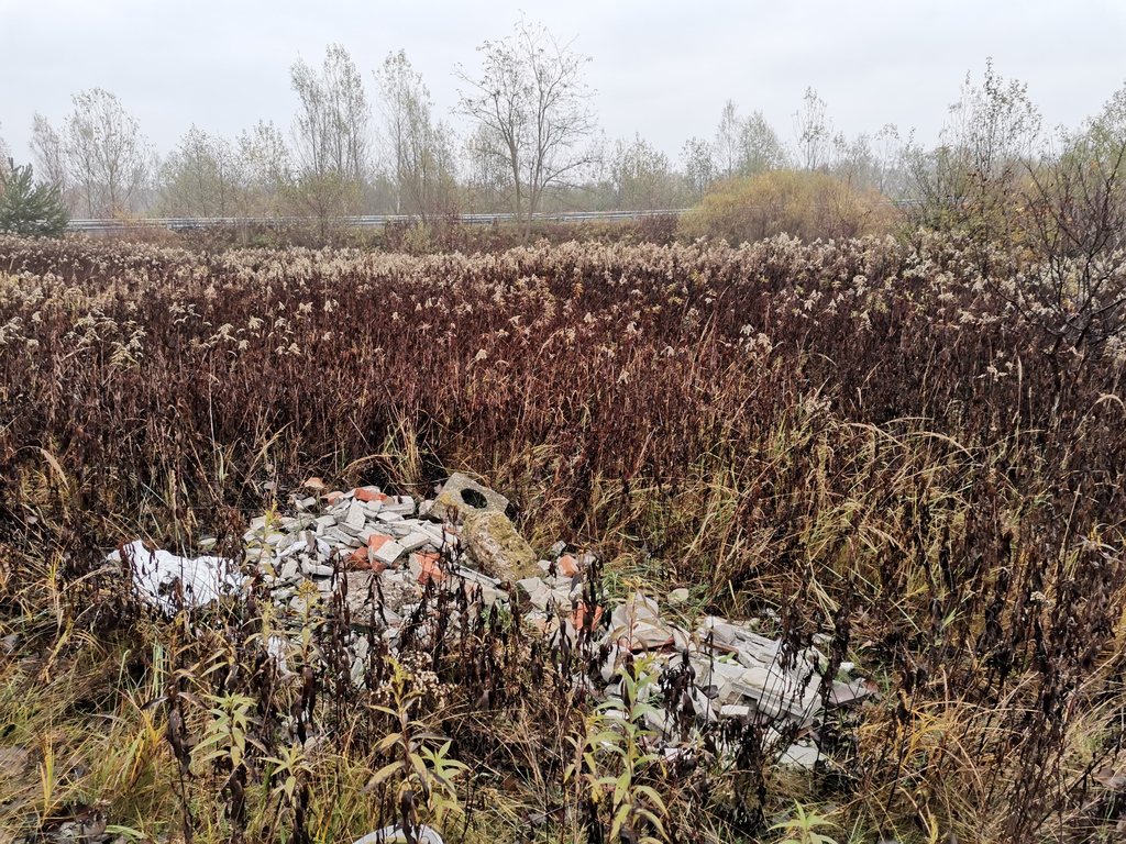 Fotók: Kaszó Zrt. (18 / 13. kép)