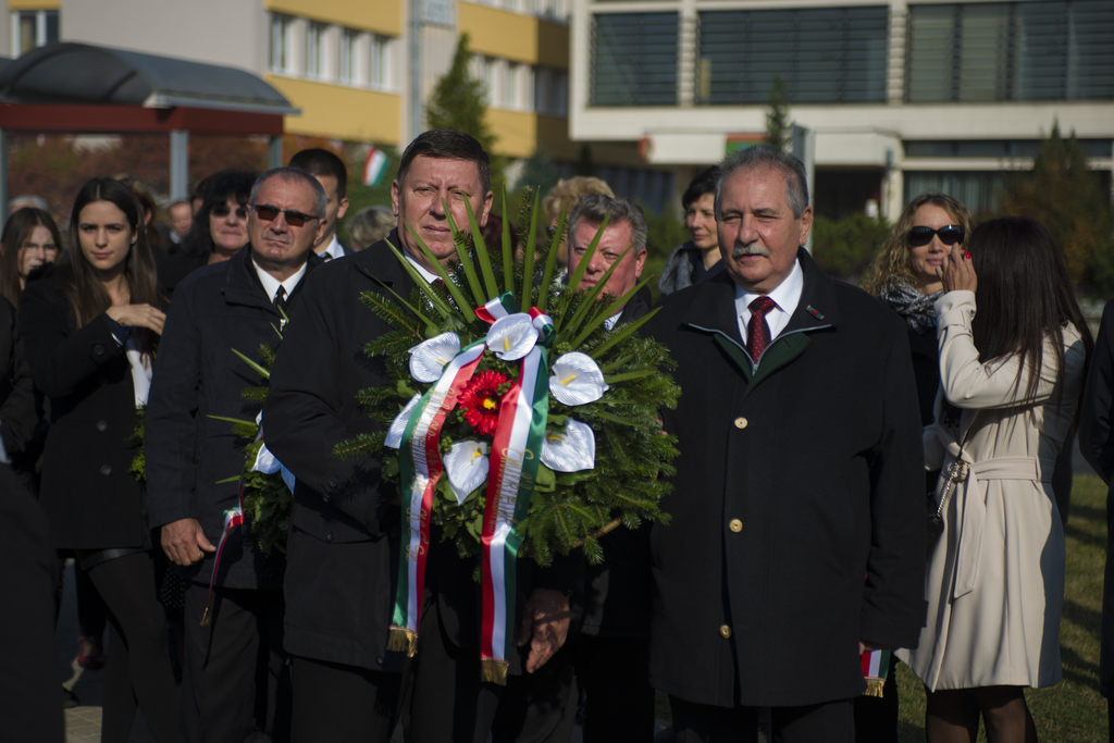 A helyi szervezetek képviselői koszorúikkal tisztelegtek a hősök emléke előtt - Fotó: Röhrig Dániel (24 / 24. kép)