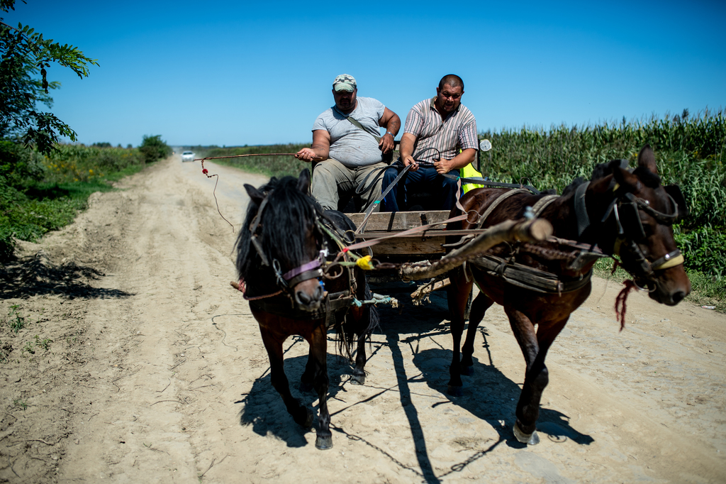 A leszakadt Rinya-híd Segesdnél, az elkerülő földút és a munkálatok Beleg környékén (26 / 24. kép)