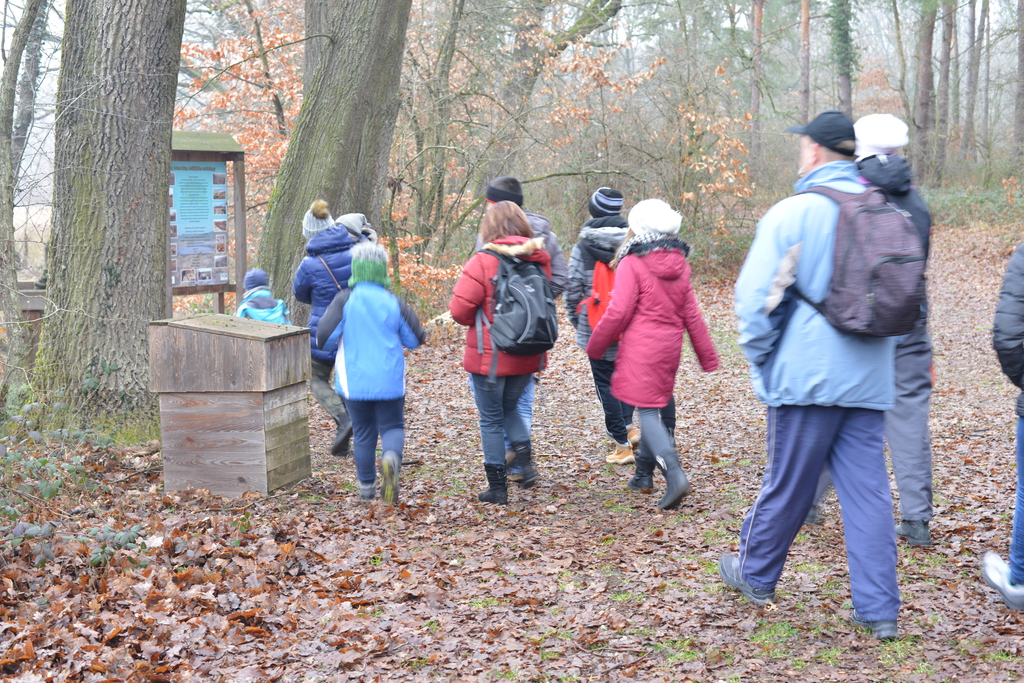 Még a téli hidegben is jól esik egy hosszú séta a természetben (37 / 26. kép)