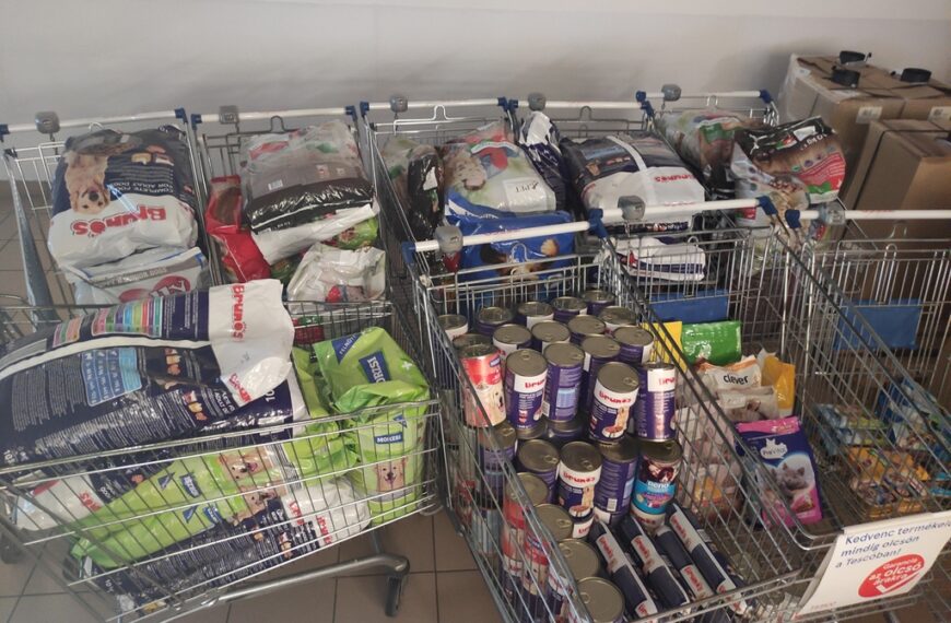 Több száz kiló kutyaeledelt adományoztak a nagyatádiak