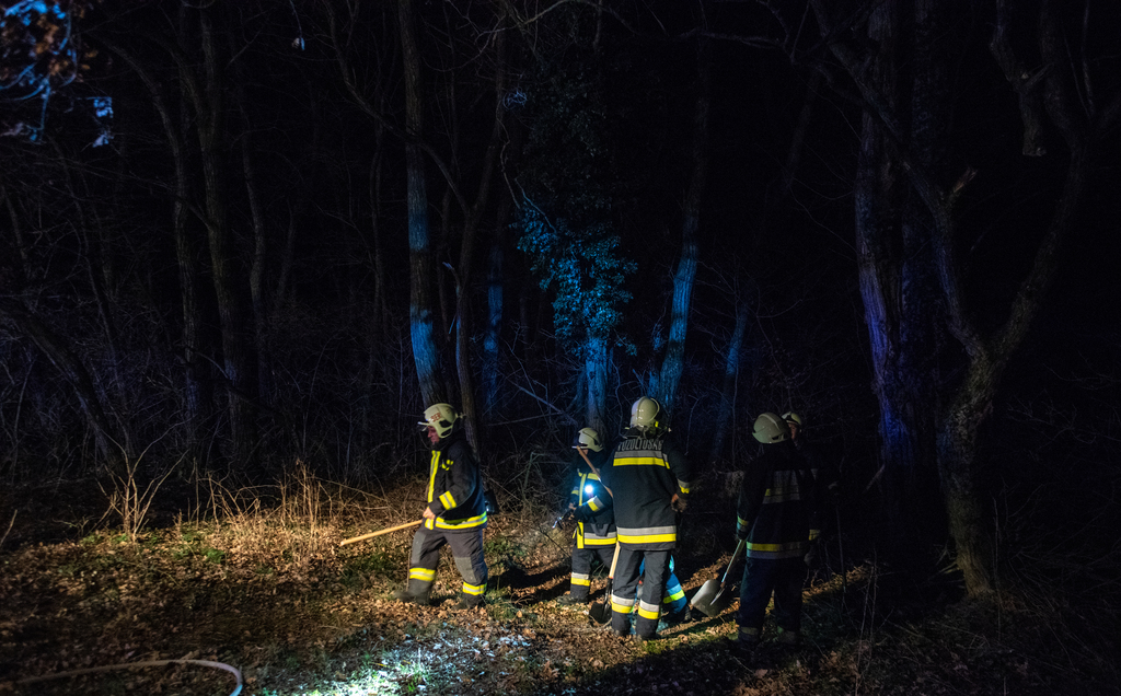 Fölgyulladtak a fák is (11 / 4. kép)