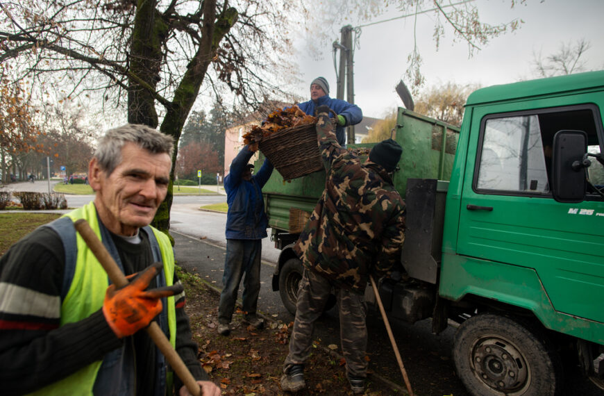 Gyűjtik a faleveleket. Fotó: Röhrig Dániel
