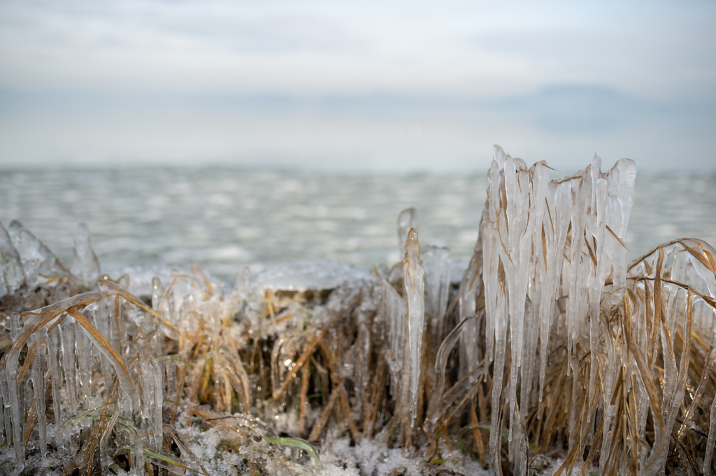 A téli Balaton. Fotók: Röhrig Dániel (5 / 2. kép)