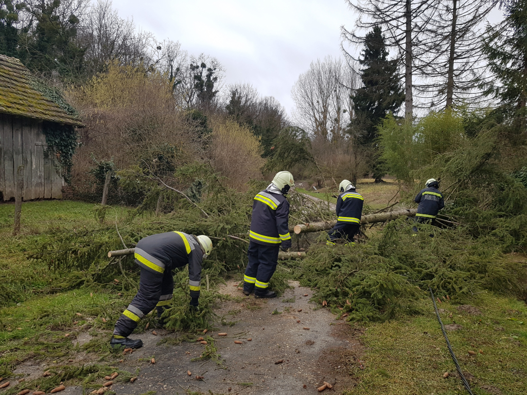 Kettétörte a fenyőt a szélvihar (16 / 4. kép)