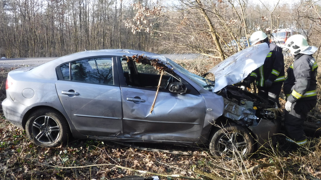 Az autó a fák között állt meg - a sofőr szerencsére csak könnyen sérült (4 / 3. kép)