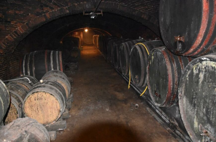 Légzőkészülékkel mentették ki apórul járt gazdát.