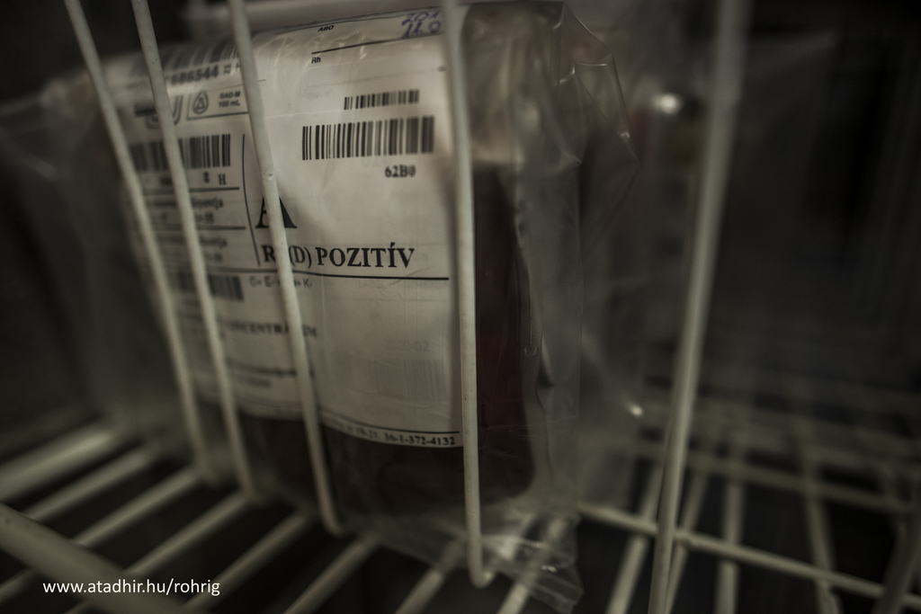 A hűtve tárolt vérkészítményeket főleg műtétek során használják fel (3 / 1. kép)