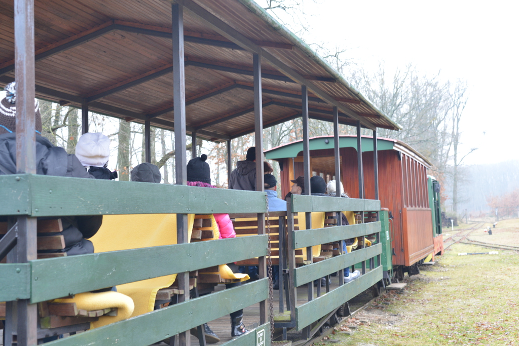 Még a téli hidegben is jól esik egy hosszú séta a természetben (37 / 4. kép)