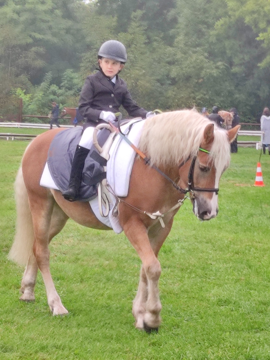 Nagyszerű eredményt értek el a nagyatádi gyerekek a lovasterápiás versenyen (11 / 3. kép)