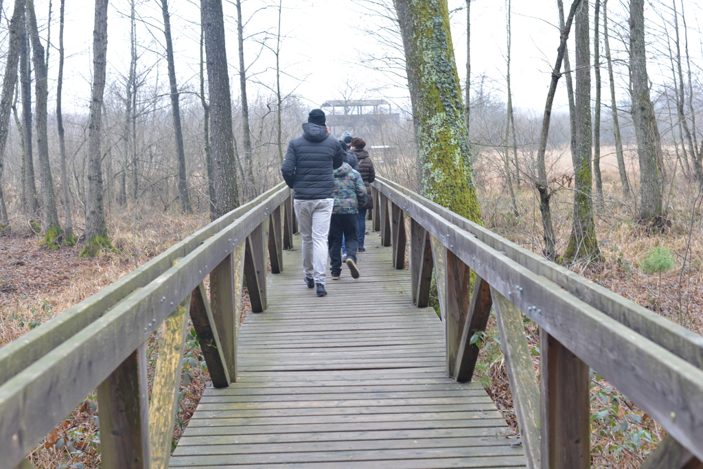 Még a téli hidegben is jól esik egy hosszú séta a természetben (37 / 27. kép)