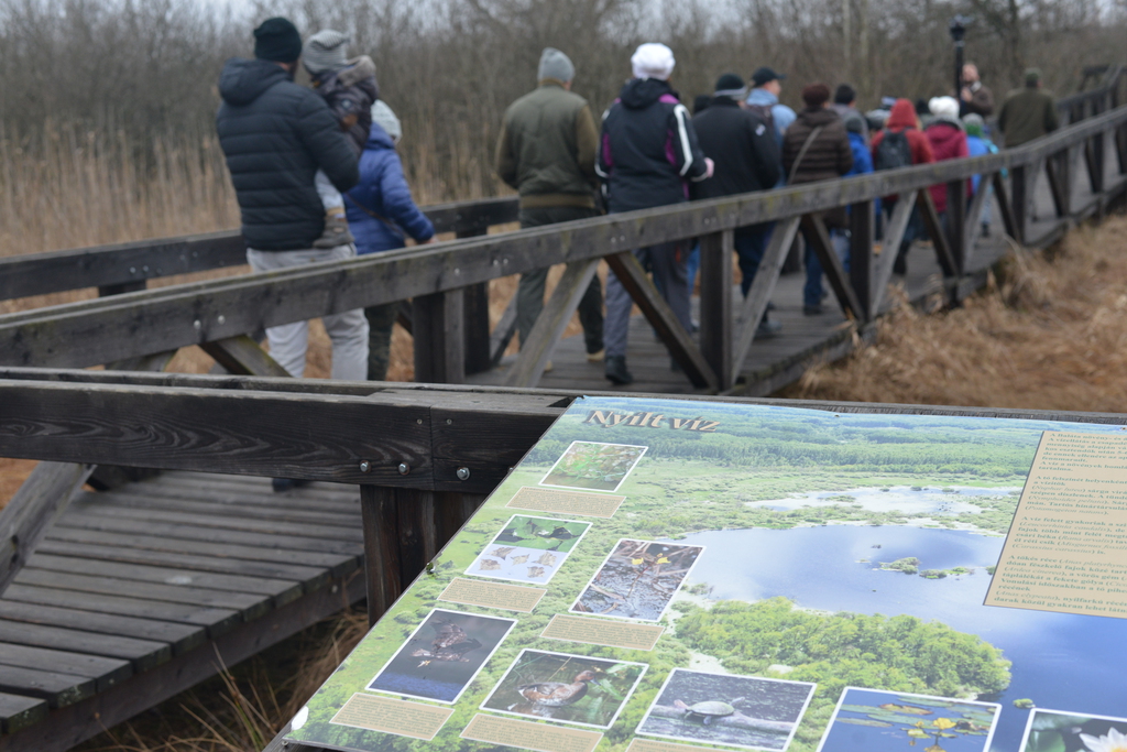 Még a téli hidegben is jól esik egy hosszú séta a természetben (37 / 28. kép)
