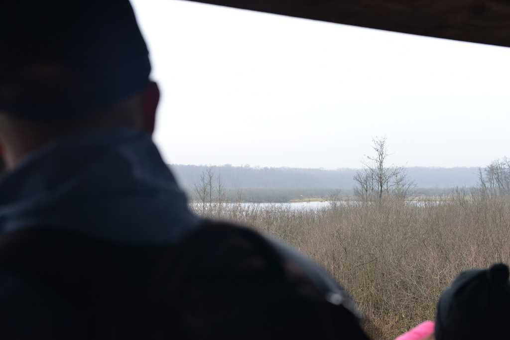 Még a téli hidegben is jól esik egy hosszú séta a természetben (37 / 29. kép)