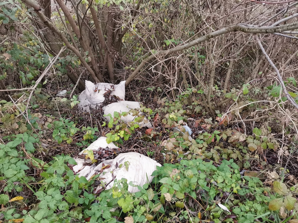 Fotók: Kaszó Zrt. (18 / 15. kép)