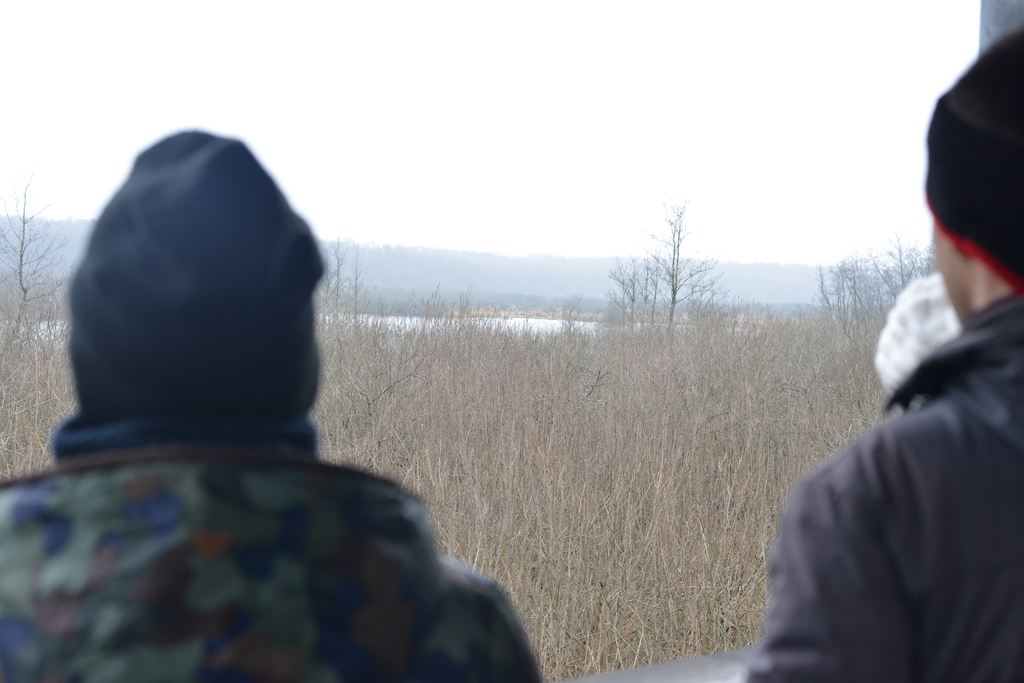 Még a téli hidegben is jól esik egy hosszú séta a természetben (37 / 30. kép)