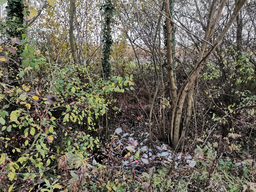 Fotók: Kaszó Zrt. (18 / 16. kép)