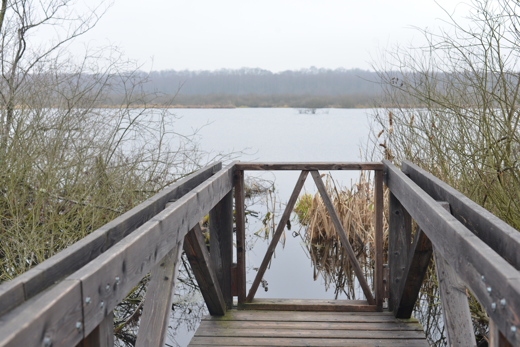 Még a téli hidegben is jól esik egy hosszú séta a természetben (37 / 31. kép)
