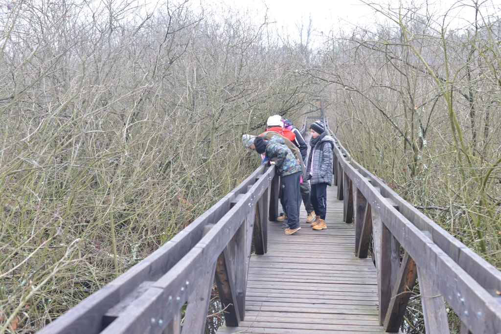 Még a téli hidegben is jól esik egy hosszú séta a természetben (37 / 32. kép)