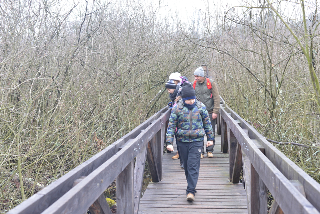 Még a téli hidegben is jól esik egy hosszú séta a természetben (37 / 33. kép)