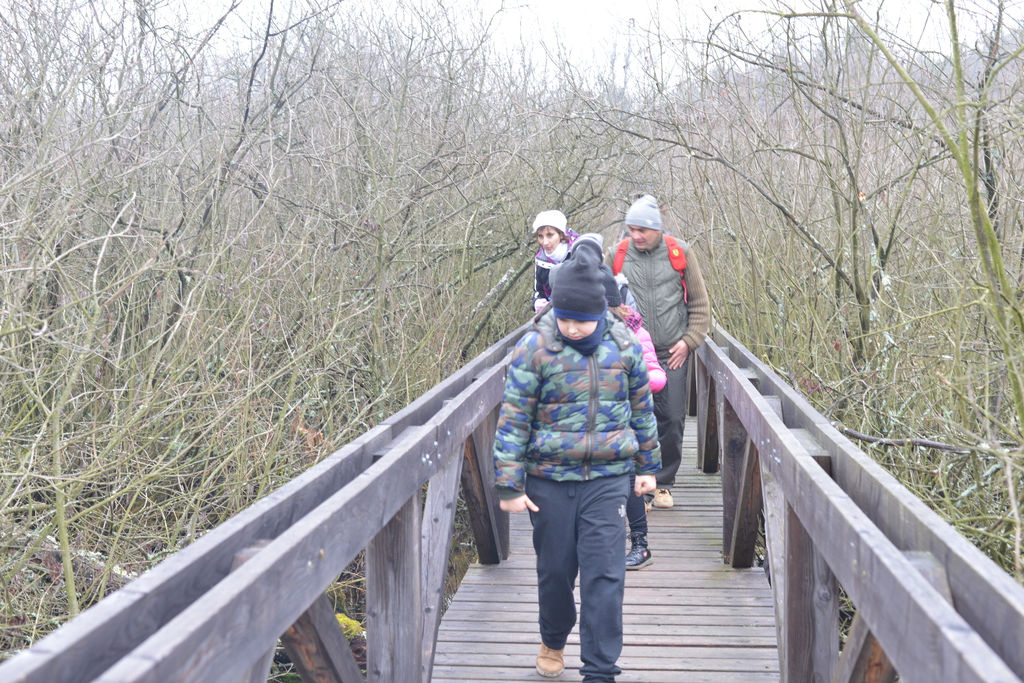Még a téli hidegben is jól esik egy hosszú séta a természetben (37 / 34. kép)