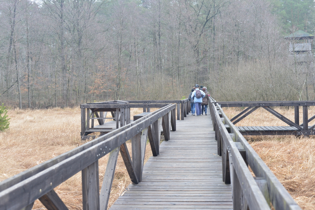 Még a téli hidegben is jól esik egy hosszú séta a természetben (37 / 1. kép)