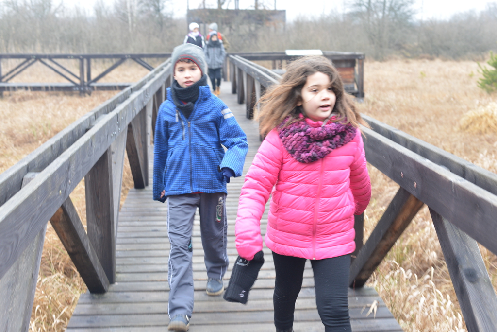Még a téli hidegben is jól esik egy hosszú séta a természetben (37 / 35. kép)