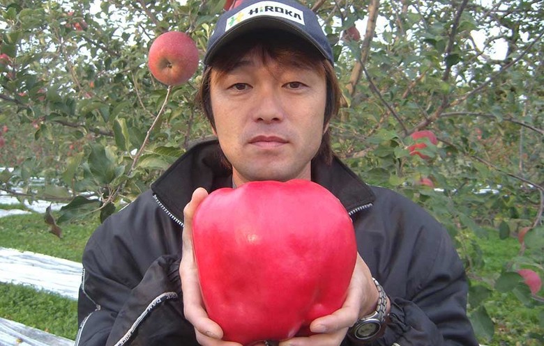 Chisato Iwasaki a rekord méretű almával