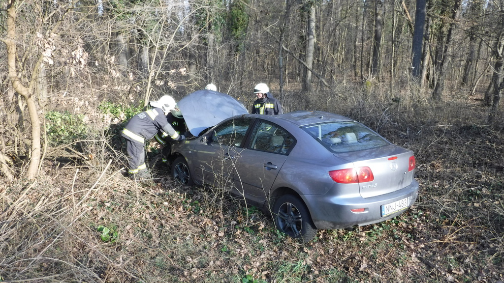 Az autó a fák között állt meg - a sofőr szerencsére csak könnyen sérült (4 / 4. kép)
