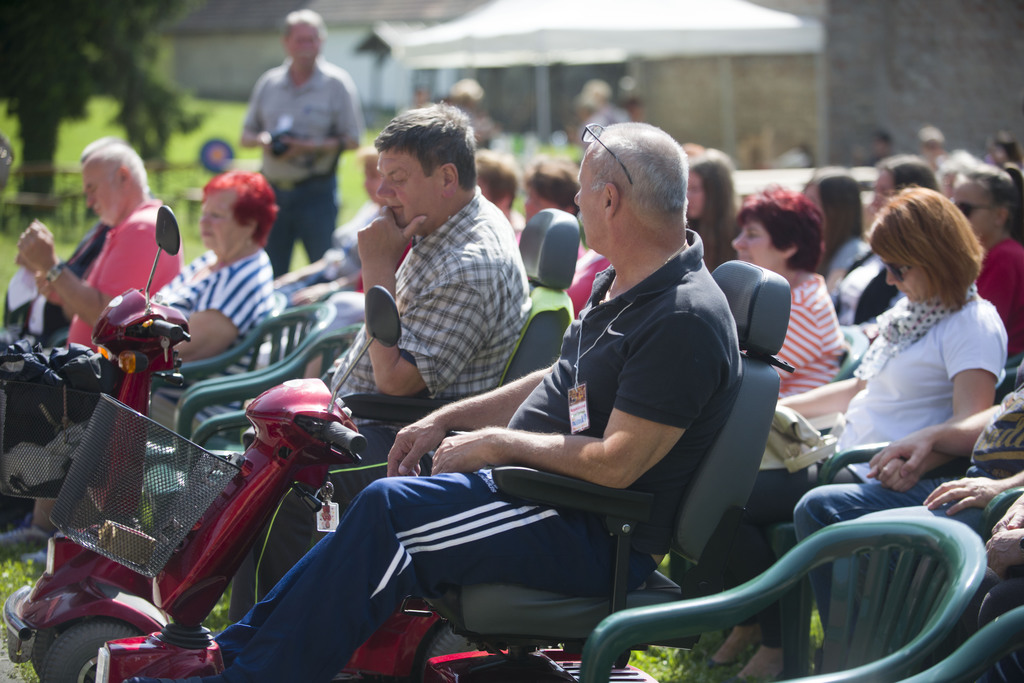 A nyárias melegben jól jött egy kis szusszanás az árnyékban (10 / 5. kép)