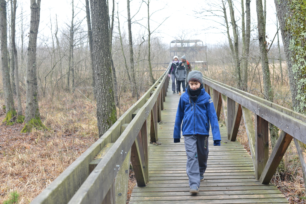Még a téli hidegben is jól esik egy hosszú séta a természetben (37 / 36. kép)