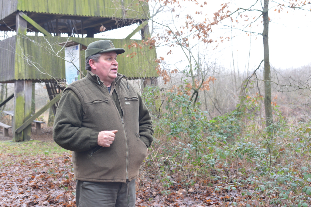 Még a téli hidegben is jól esik egy hosszú séta a természetben (37 / 37. kép)