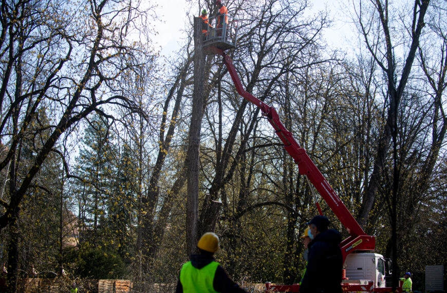 Elkezdődött a Széchenyi park felújítása