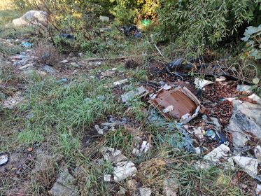 Fotók: Kaszó Zrt. (18 / 4. kép)