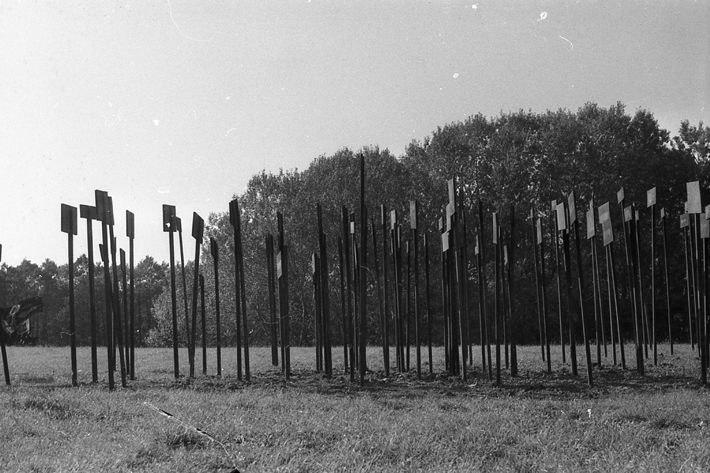 Az elkészült alkotás, 1978. október. Durgó Tibor fotója