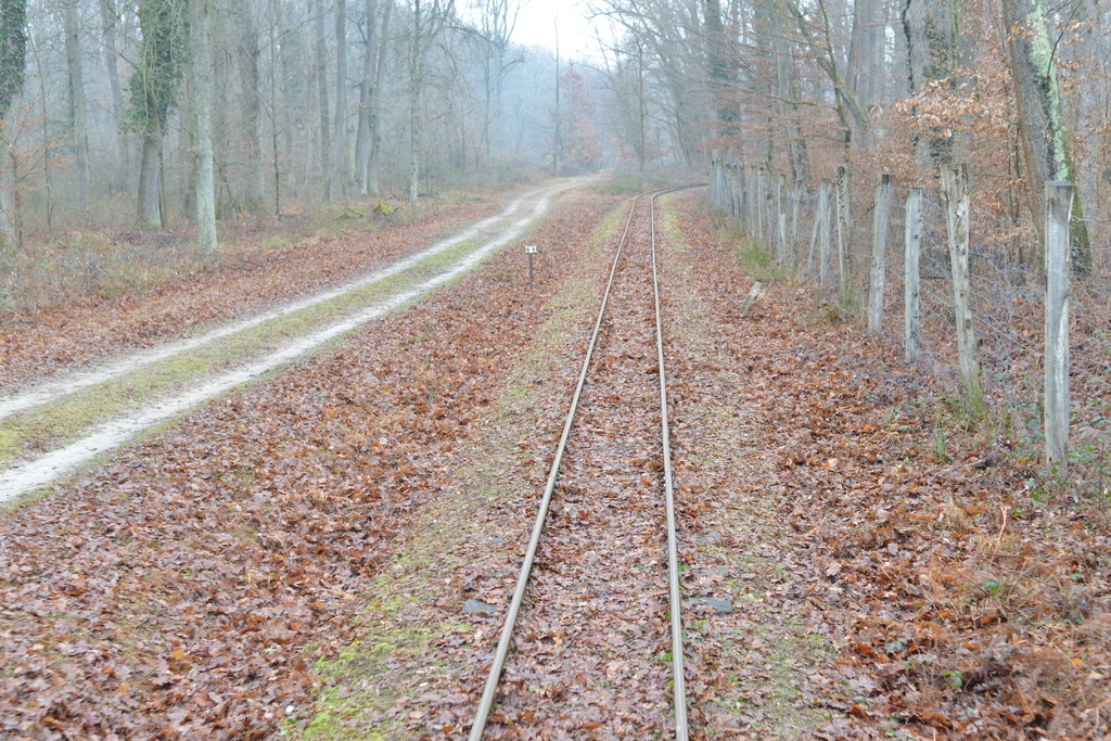 Még a téli hidegben is jól esik egy hosszú séta a természetben (37 / 6. kép)