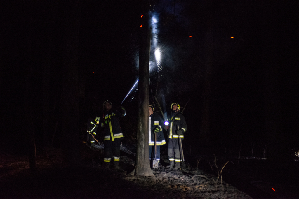Fölgyulladtak a fák is (11 / 7. kép)
