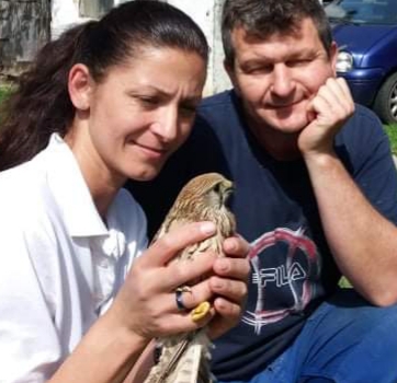 Már aznap kijöttek a Duna-Dráva Nemzeti Parktól a pórul járt madárért (13 / 8. kép)