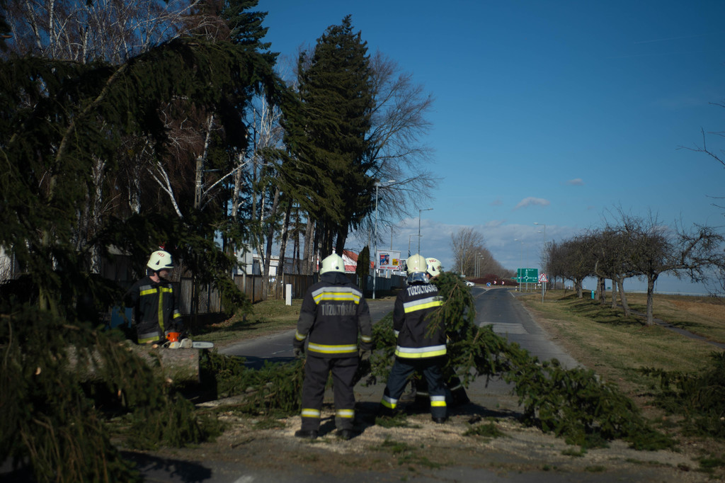 A kidőlt fa teljes szélességében eltorlaszolta a főutat (11 / 7. kép)