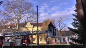 Felhelyezik az izzókat a város karácsonyfájára