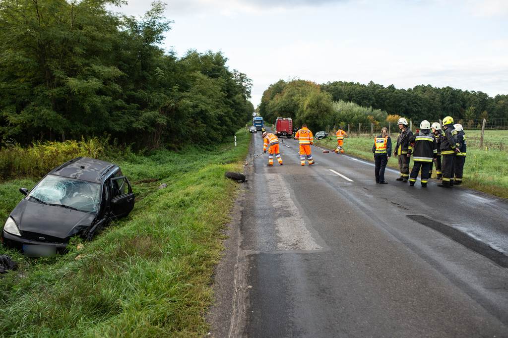 Fotók: Röhrig Dániel (9 / 8. kép)