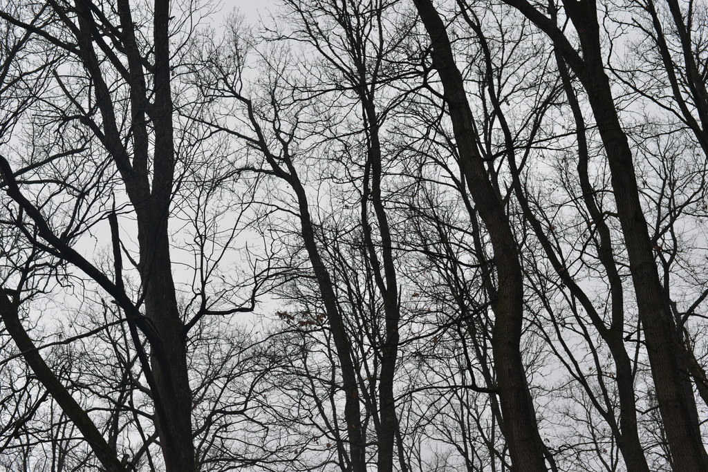 Még a téli hidegben is jól esik egy hosszú séta a természetben (37 / 7. kép)