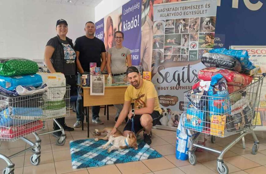 300 kiló kutyaeledelt kaptak a nagyatádi menhely kutyái