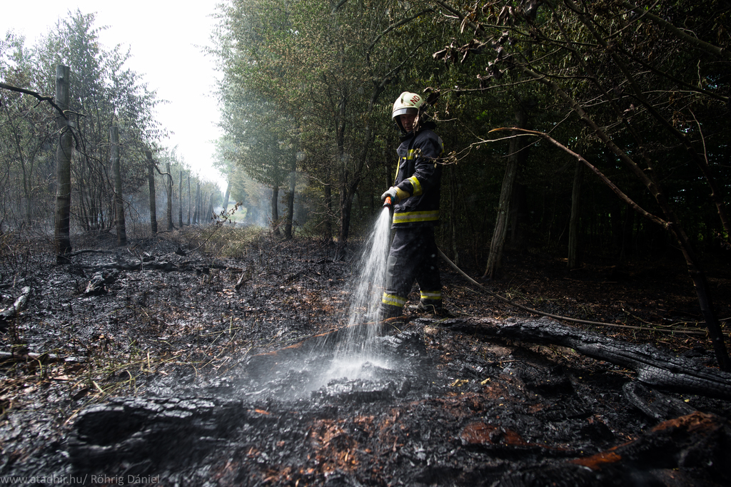 Két hektár lángol az erdő mellett Bolhásnál (9 / 8. kép)